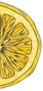 page decoration representing a lemon