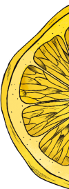 page decoration representing a lemon